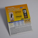 Wireless Marketing
